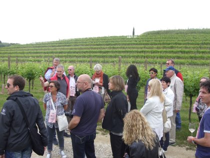 Movimento Turismo del Vino FVG - Udine