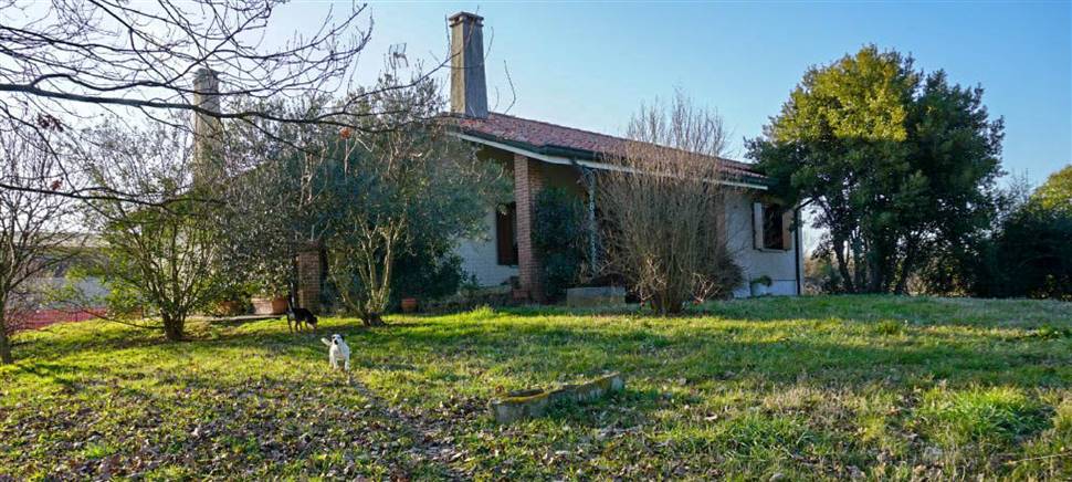 Sognate una casa grande, tranquilla, con molto verde? Questa villa a Bagnaria Arsa potrebbe fare al caso vostro. Venite a vederla. €198.000