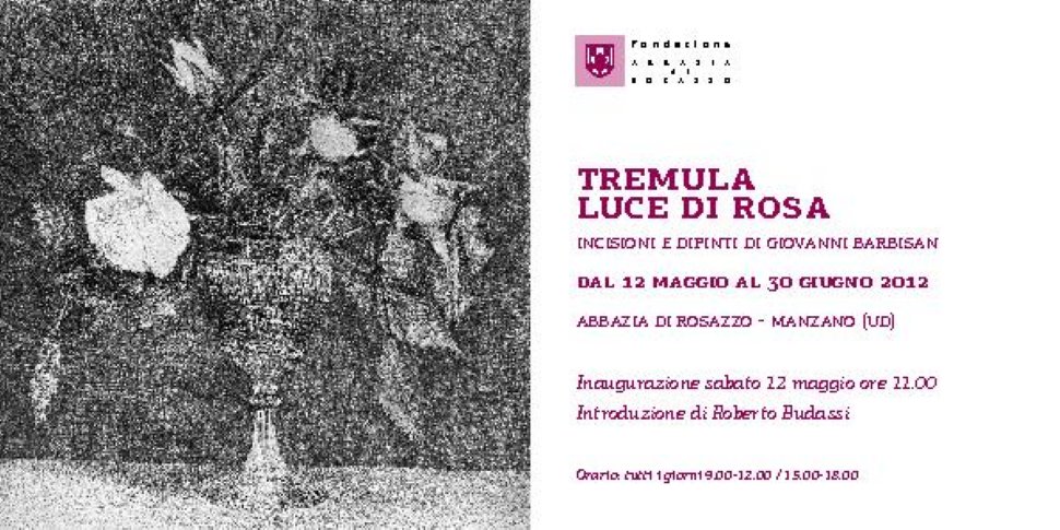 'Tremula luce di rosa. Incisioni e dipinti di Giovanni Barbisan' dal 12/05 al 30/06