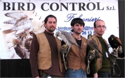 BIRD CONTROL Falconeria professionale - Udine