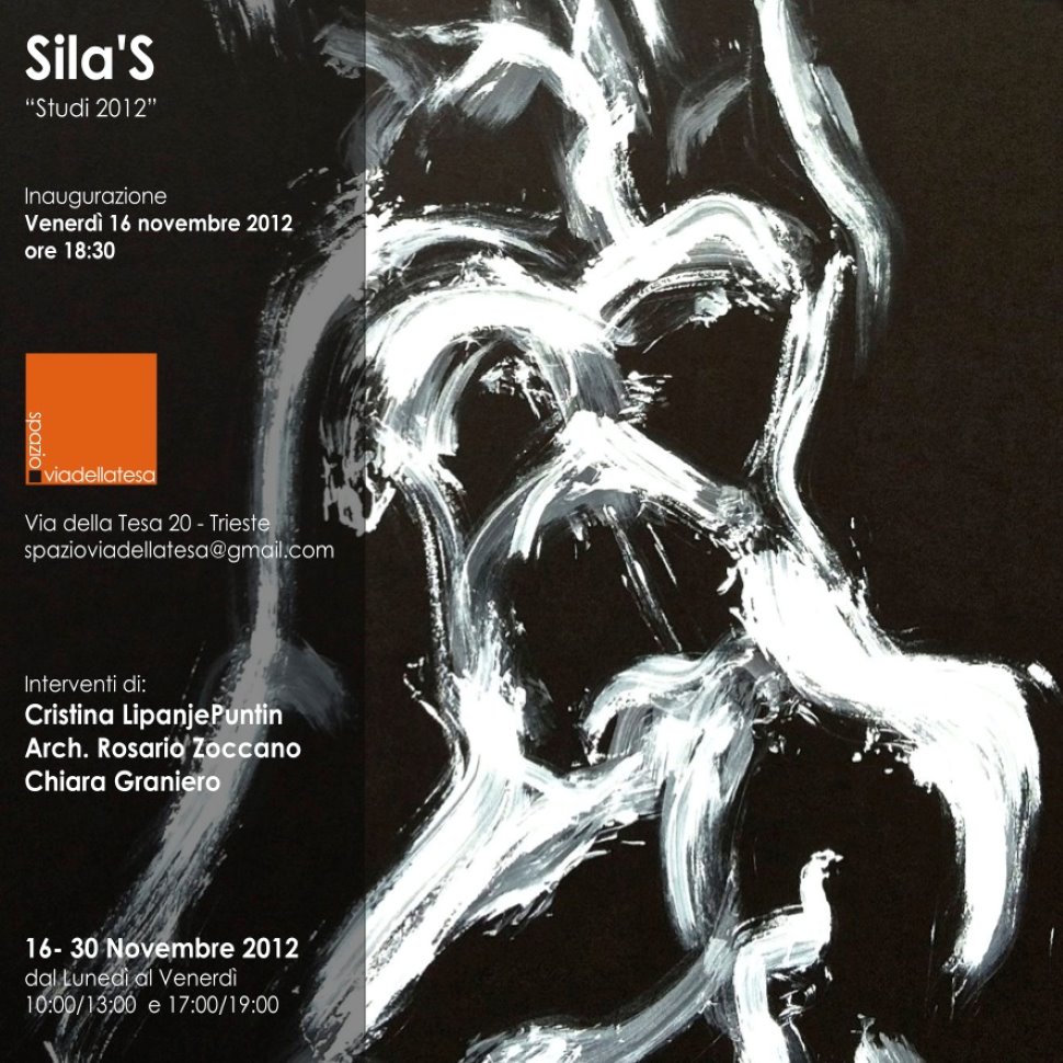 Mostra di Sila's - Studi 2012
