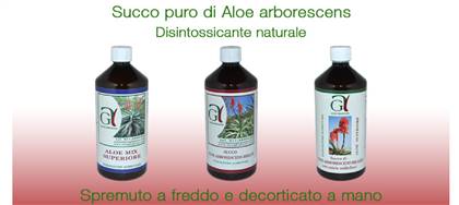 Aloe Ghignone l’eccellenza nel mondo dell’Aloe Arborescens, scopri le proprietà e i nostri prodotti. Contattaci