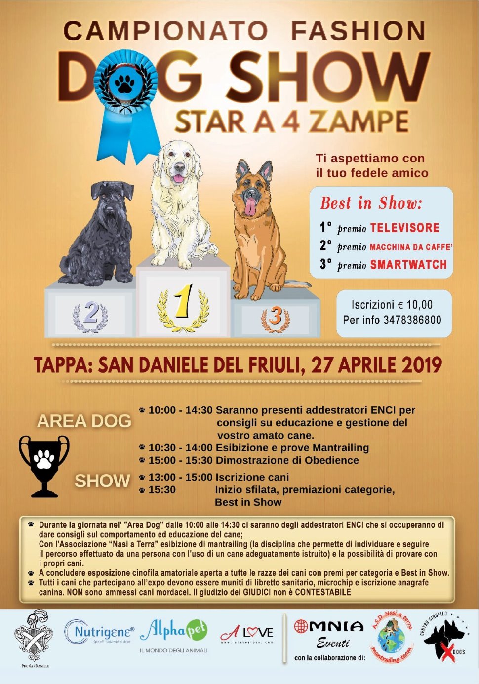
FASHION DOG SHOW 2019 SAN DANIELE SBOCCIA
