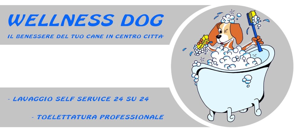 Wellness Dog, la toelettatura self service e professionale a Udine. Il vero centro benessere per il tuo cane. 