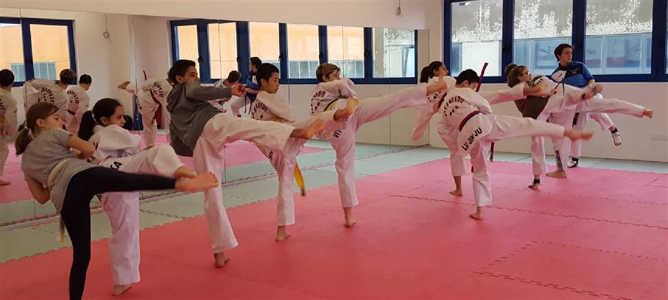 Cortesia, integrità, autocontrollo, perseveranza sono i principi del Taekwondo. Iscriviti ai nuovi corsi, sei ancora in tempo.
