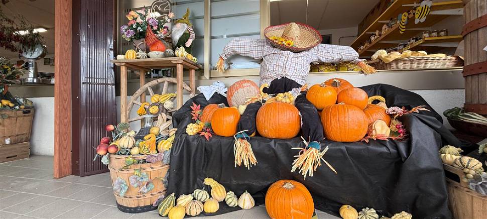 Scopri i sapori dell’autunno nel nostro spaccio aziendale: verdura e frutta di stagione, appena raccolta nei nostri campi.