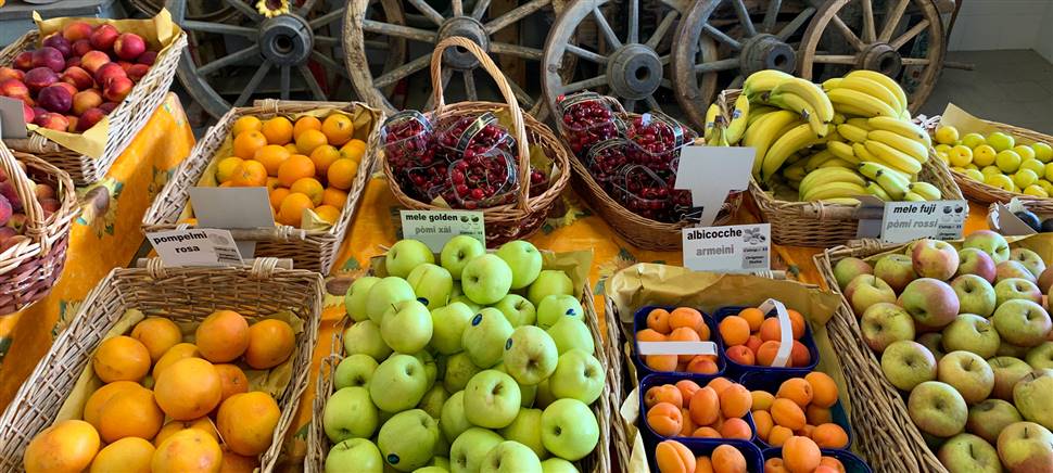 Nella nostra rivendita c’è tutta la frutta di stagione gustosa e colorata che desideri: pesche, albicocche, fragole, ciliegie, prugne, meloni, angurie