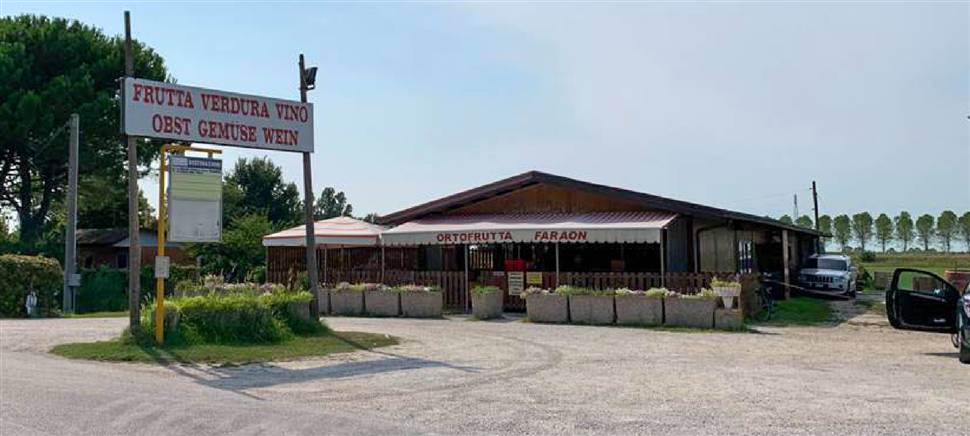 From our beloved land to your table. Come to our shop to buy fruit, vegetables, wine, and oil from our farm