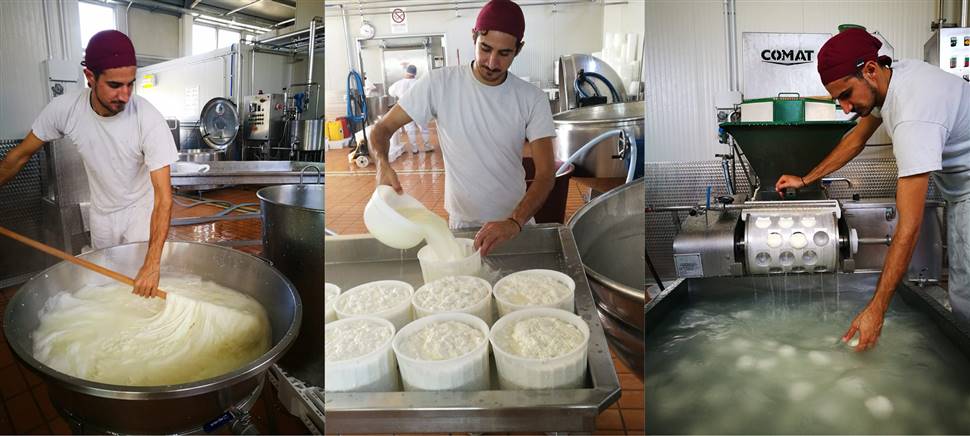 La nostra casearia trasforma il latte dei nostri allevamenti Km0 per darti gustosi formaggi freschi e yogurt. Vieni a provarli